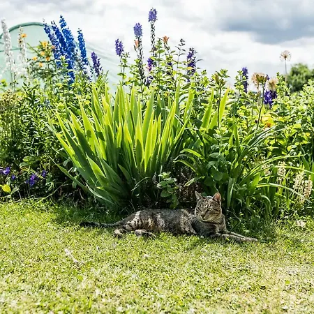 Lejlighed Nowe Miejsce Brzegi (Tatra)