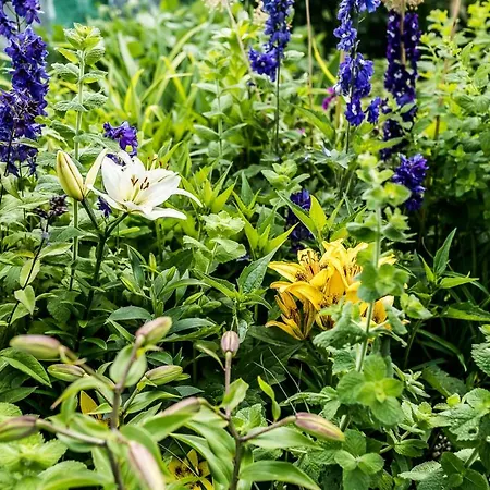 Lejlighed Nowe Miejsce *