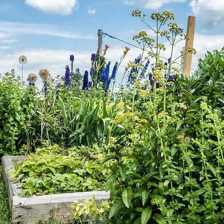 Nowe Miejsce Lejlighed Brzegi (Tatra)