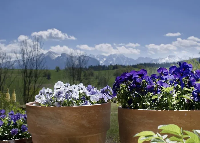 公寓 诺维梅塞布尔塞格公寓