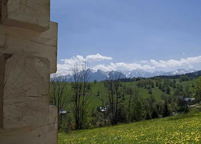 诺维梅塞布尔塞格公寓 *