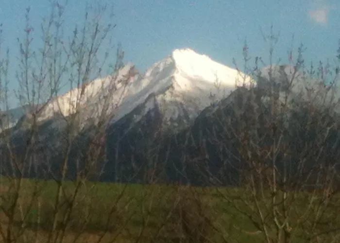 公寓 诺维梅塞布尔塞格公寓