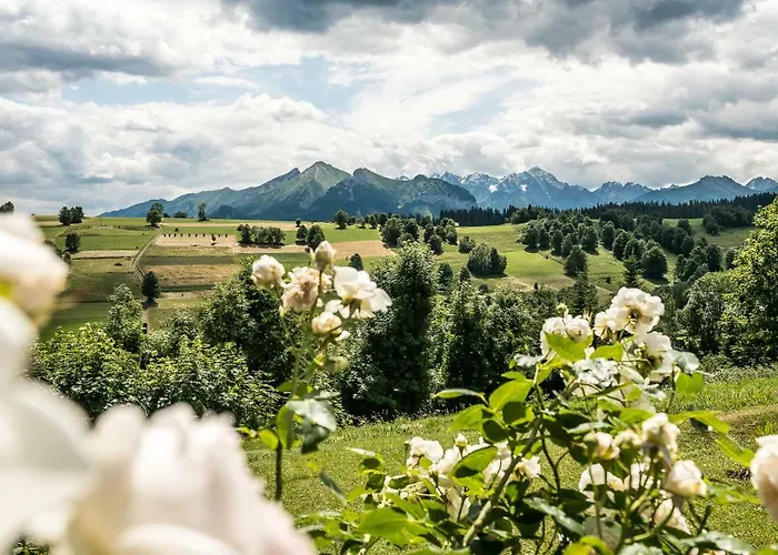 诺维梅塞布尔塞格公寓 *