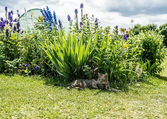 公寓 诺维梅塞布尔塞格公寓 布泽吉