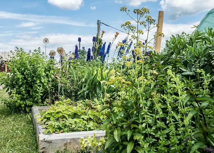 诺维梅塞布尔塞格公寓 公寓 布泽吉